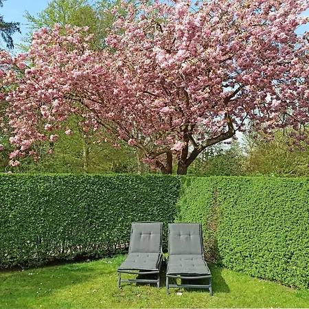 Bi Sterni Apartment
